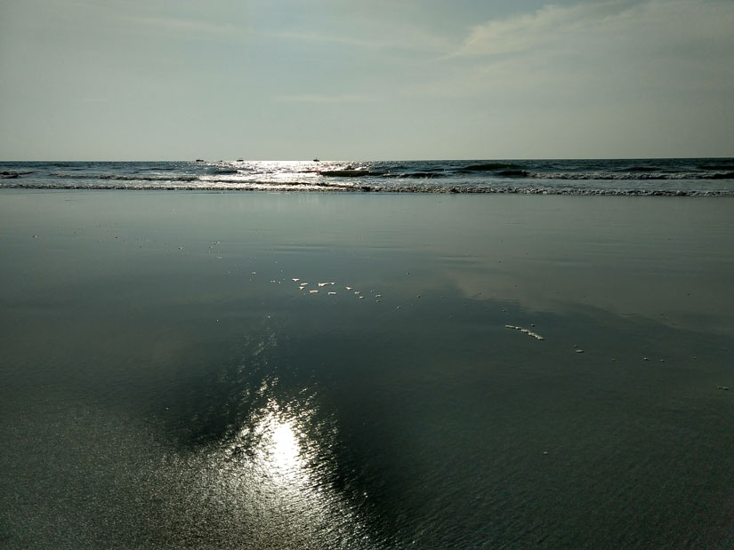 Portfolio 11
